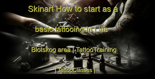 Skinart How to start as a basic tattooing in Lilla Blotskog area | TattooTraining | TattooClasses | SkinartTraining-Sweden